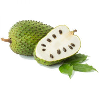Sementes de graviola (Annona muricata)